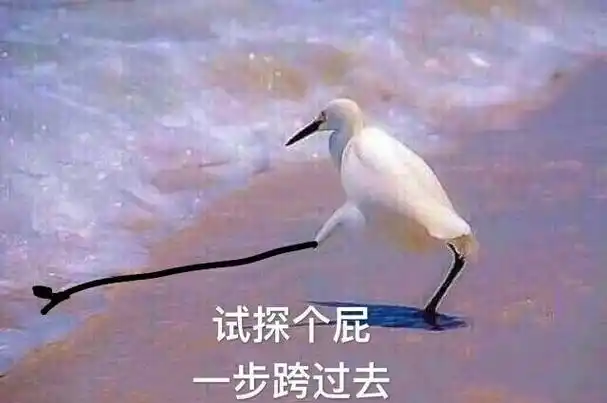试探表情包