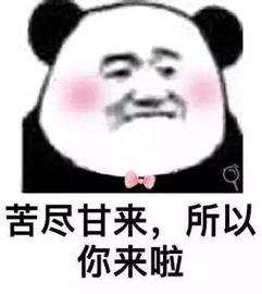 这筐土味情话,送给雅江即将登场的她