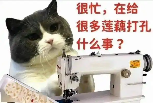 猫猫很忙表情包_侵权_网络