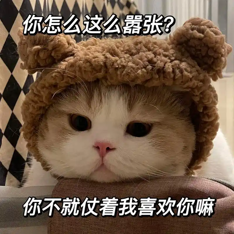 我可是很抢手的哦#发给对象表情包#表情包#猫咪表情包#-抖音