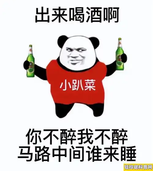 小趴菜什么意思(附表情包)