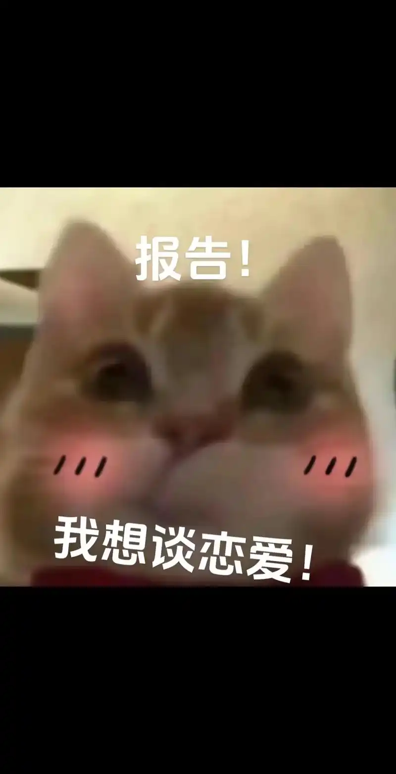 主动点机会就来咯.#歪嘴小猫表情包#我想谈恋爱#此刻恋爱脑-抖音