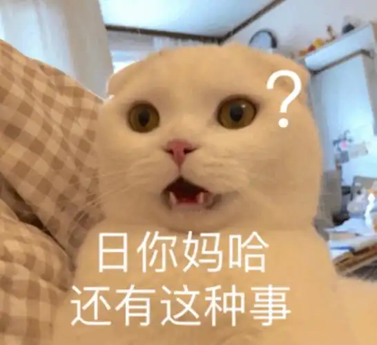 日你吗哈还有这种事-喵星人表情包一起来吸猫_猫咪表情