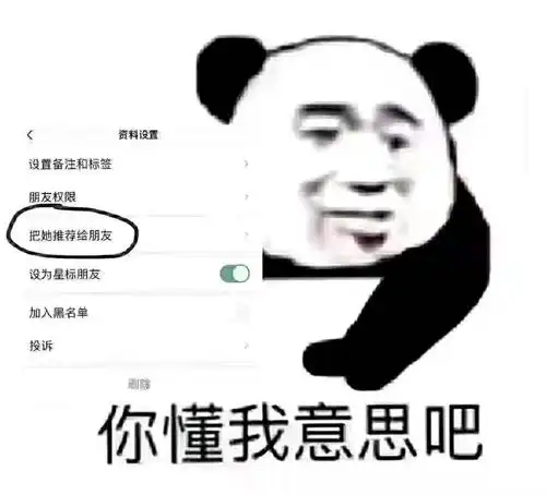 你懂我意思吧把她推荐给朋友推荐意思朋友表情