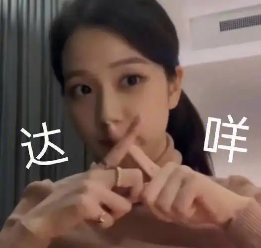 jisoo的表情包7373