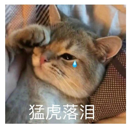 猛虎落泪