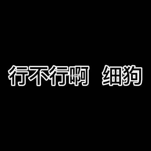 行不行啊细狗04