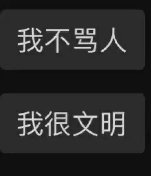 我是淑女谢谢