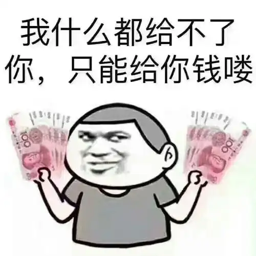 我什么都给不了你,只能给你钱喽-斗图表情包-斗图神器-adoutu.