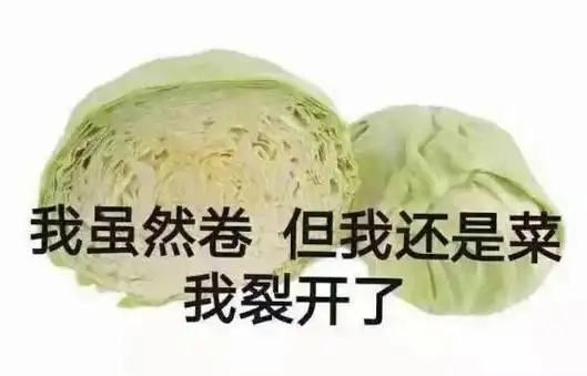 卷心菜代表很菜又爱卷