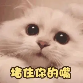 堵住熊猫头信不信搞怪逗gif动图_动态图_表情包下载_soogif