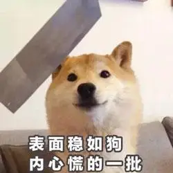 稳如老狗