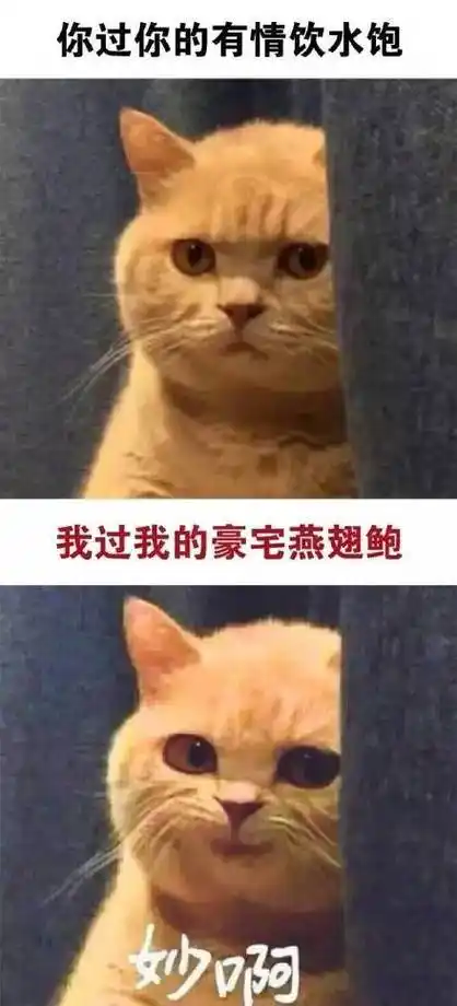 真是妙啊67_猫_妙啊_怼人表情表情包-发表情fabiaoqing.com