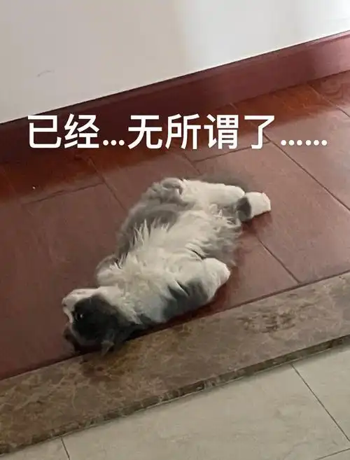 已经无所谓了