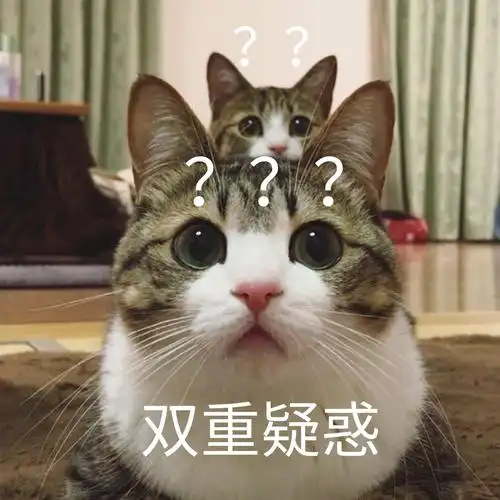 双重疑惑(猫咪问号表情包)