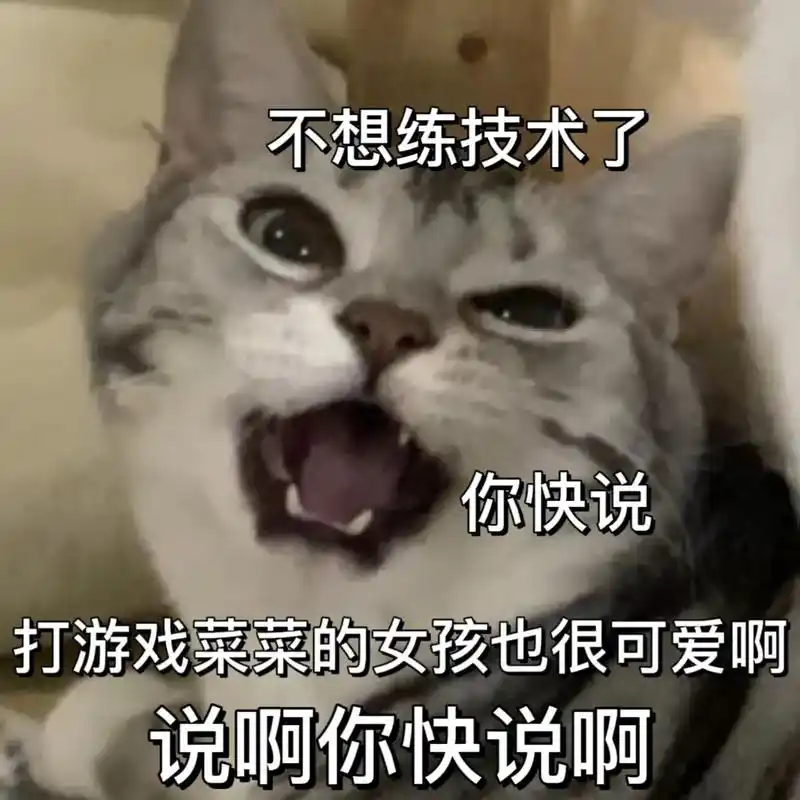 发给对象表情包#发给朋友的表情包#猫咪表情包#打游戏的男庞友