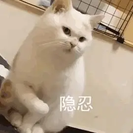 家人们想求一下这个猫猫颤抖的表情包