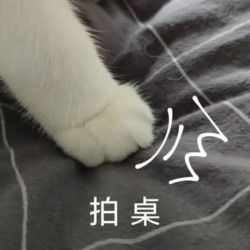 小猫咪的猫爪对比5月龄vs3月龄