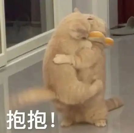 (猫咪表情包)_抱抱_猫咪表情