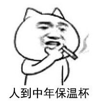 人到中年保温杯表情图片下载中年保温杯表情包完整版下载飞翔下载