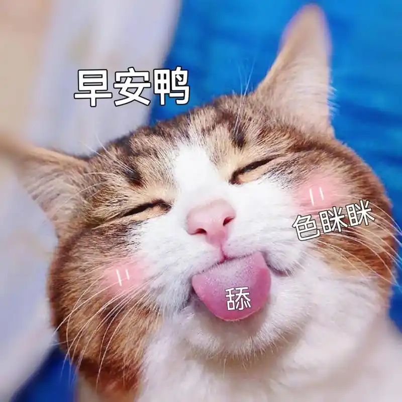 我希望陪在我身边的一直都是你#表情包#猫咪表情包#猫猫