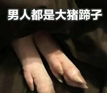 女人说男人都是大猪蹄子什么意思?乃最新女生撒娇方式