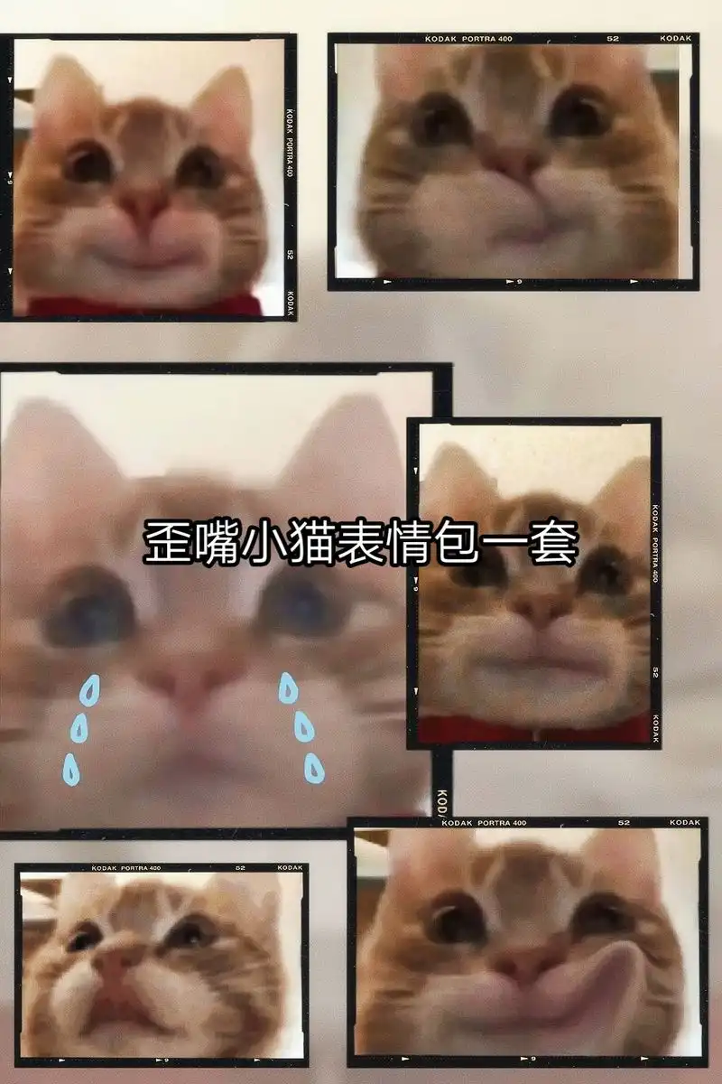 歪嘴小猫表情包一套#歪嘴小猫表情包一套抖音搜索[神图君]进入小