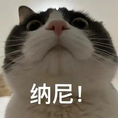 表情包#搞笑表情包#貓#猫咪日常#我的猫#减肥减脂吃这些