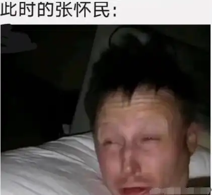 怀民亦未寝一句出自苏轼的记承天寺夜游,如下所示:梗表情包