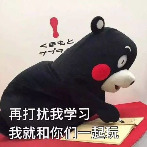 为什么很多人考研很努力,还是没考上