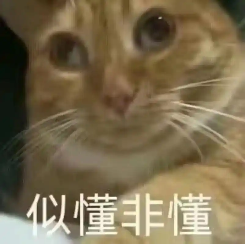 似懂非懂尊嘟假嘟.#猫咪表情包#沙雕表情包#搞怪表情包-抖音