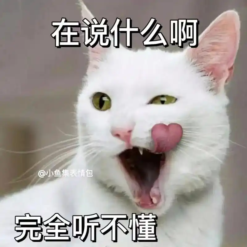 你在说什么啊!完全听不懂.#表情包#猫咪表情包-抖音