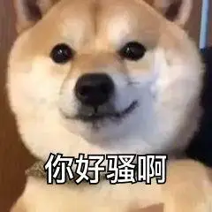 你好骚啊(狗子doge表情包)