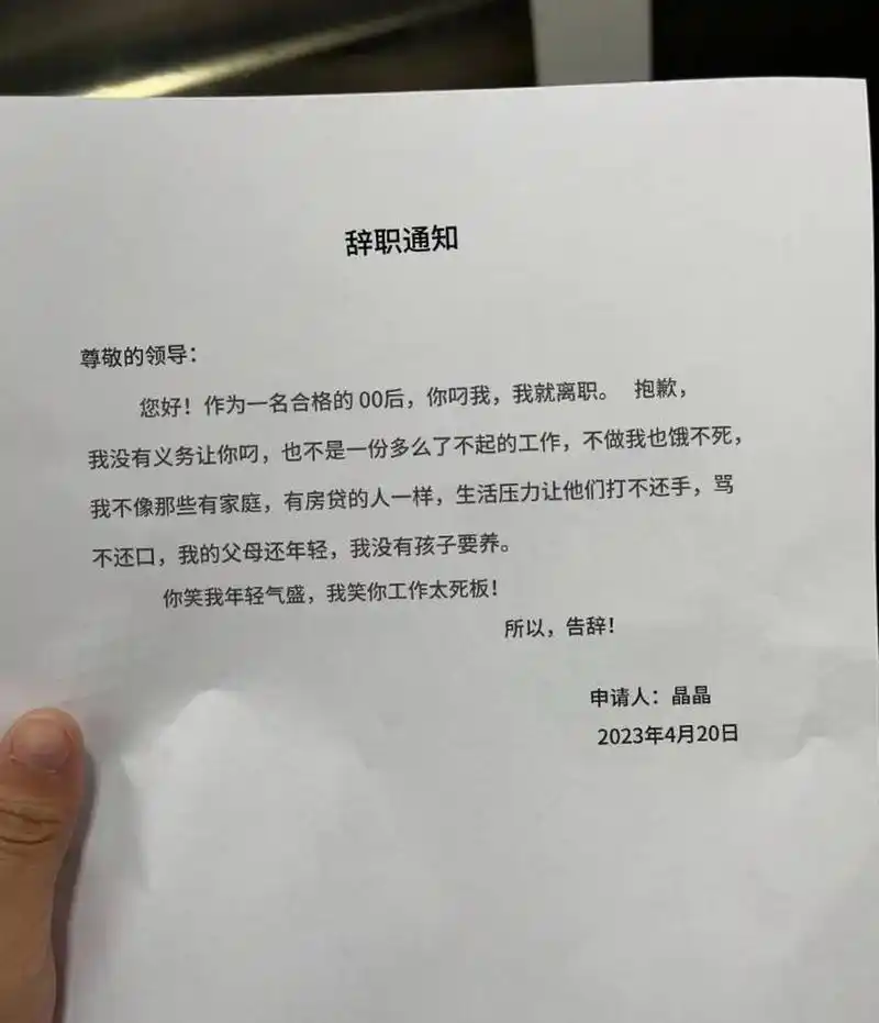 00后的辞职报告书,年轻就是霸气侧漏#搞笑趣味图