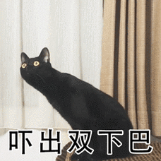 吓出双下巴-小猫惊恐表情_小猫表情