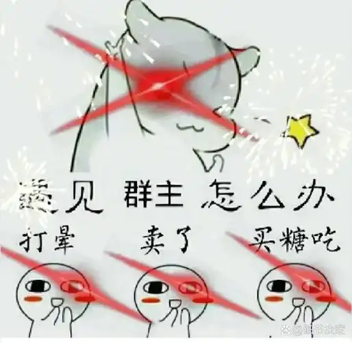 群主专用表情包2