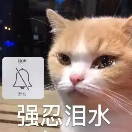 萌宠猫星人强忍泪水不能哭难受委屈gif动图_动态图_表情包下载_soogif