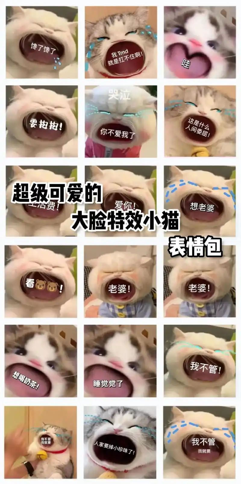 当你有一套大嘴猫表情包时#表情包分享#猫咪表情包#大嘴-抖音