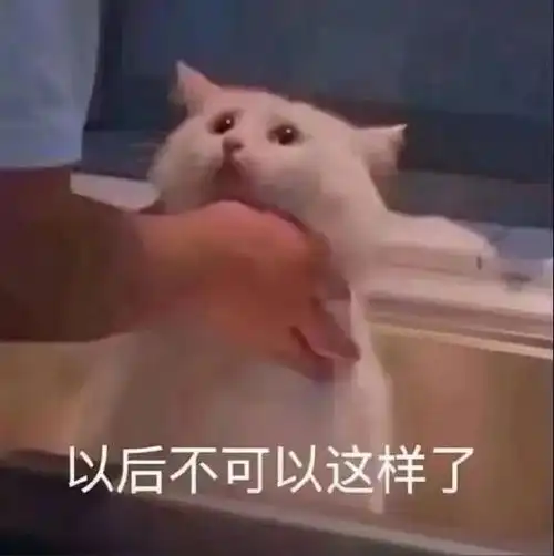 新表情包,手慢无!