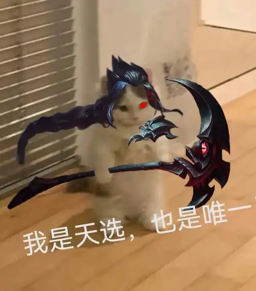 我是天选也是唯一