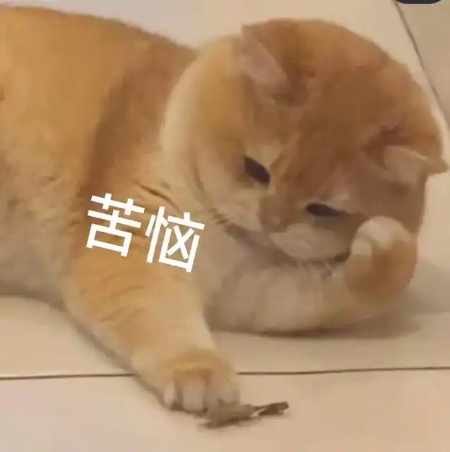 小猫的苦恼#表情包-抖音