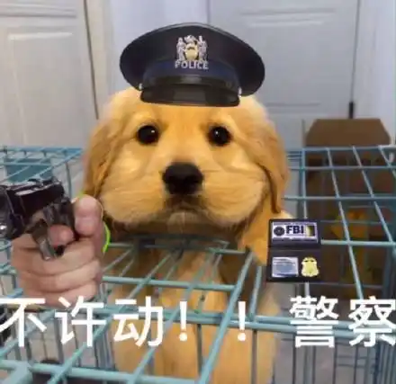 警察(狗勾表情包)_fbi_police表情