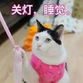 关灯,睡觉-一组喵星人表情包精选_喵星人_猫咪表情