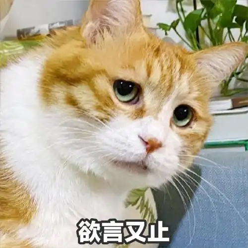 萌宠猫星人欲言又止无语呆萌gif动图_动态图_表情包下载_soogif