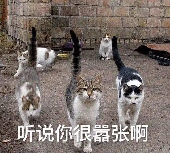 听说你们最近对我很不满啊抽烟熊猫人恶搞gif动图_动态图_表情包下载