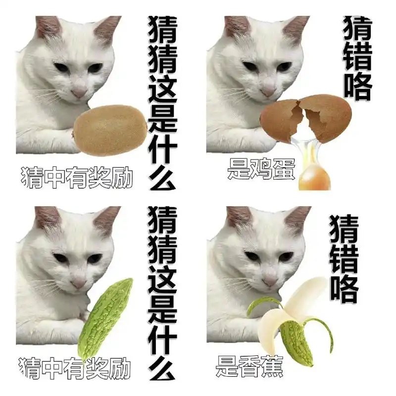 沙雕表情包.#猫咪#白猫#沙雕#猫咪表情包-抖音