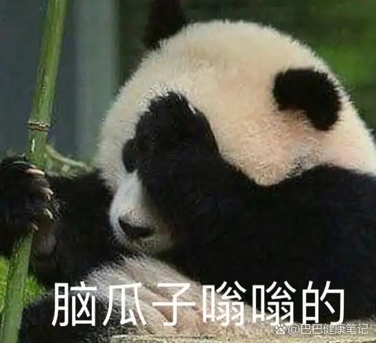 熊猫式脑瓜疼,猫式脑瓜子疼,露娜贝尔脑瓜子疼找了这么几张图.