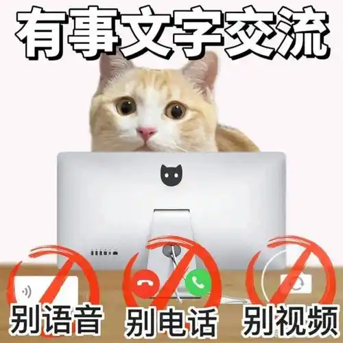 聊天实用表情包:别语音别电话别视频_il_li_熊猫头