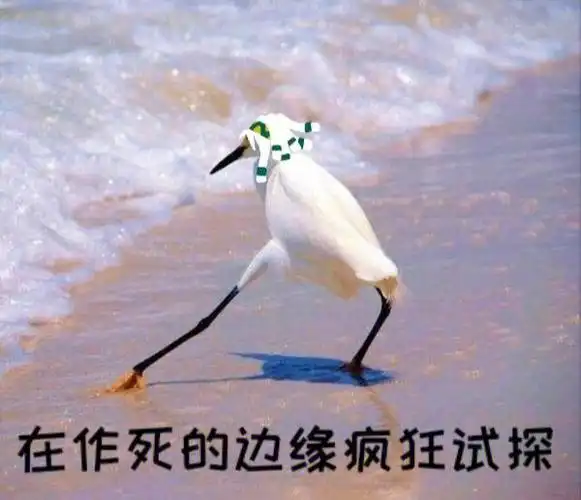 老大欺负人