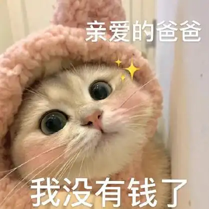 爸宝大嘴猫表情包